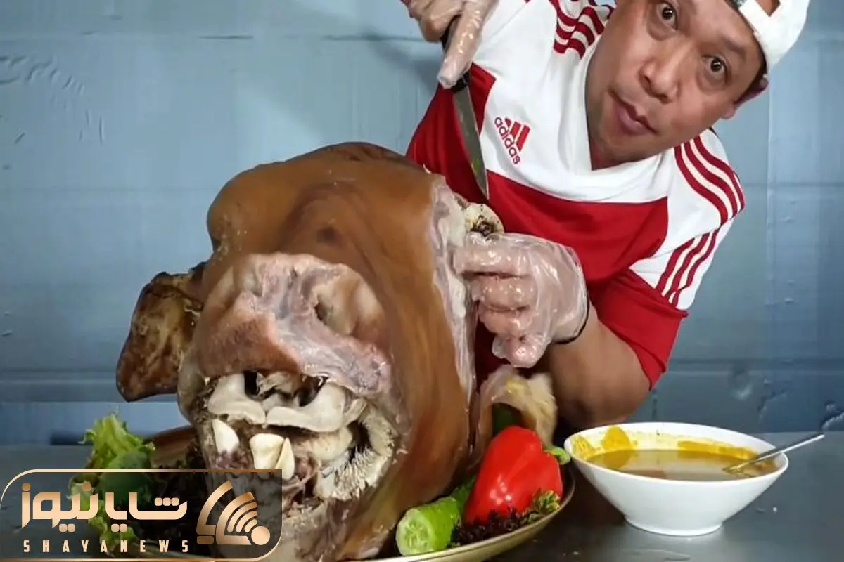 عکس گاو در حال غذا خوردن عکس گاو در حال غذا خوردن