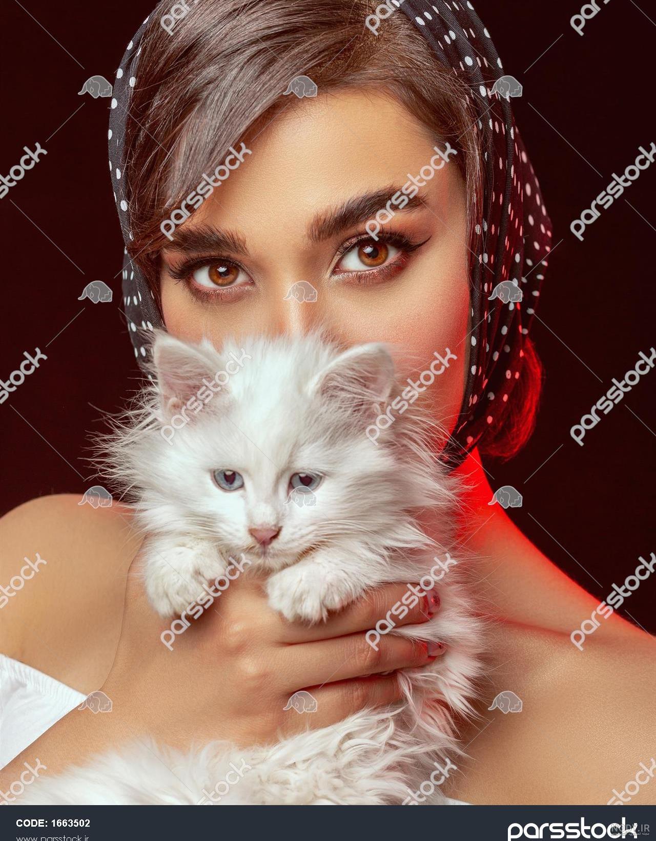 عکس گربه بامزه؛ عکس گربه های خانگی و فانتزی ناز