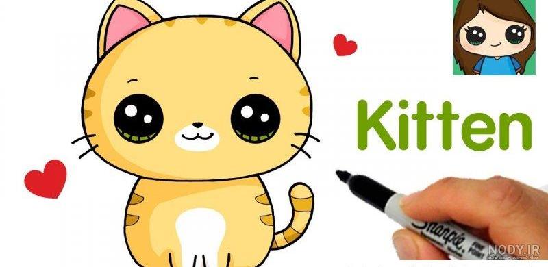 عکس گربه برای نقاشی آسان