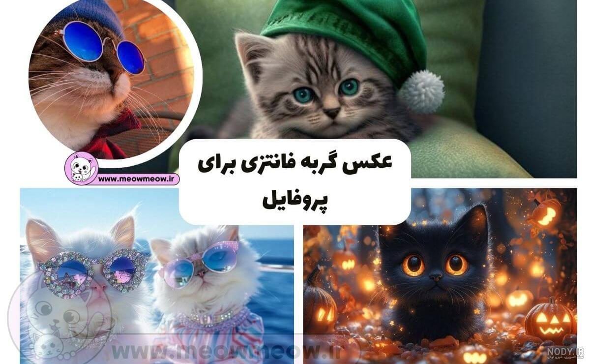 عکس های گربه برای پروفایل 2024؛ بسیار بانمک و جدید مناسب فضای مجازی (گوگولی) - گلی خانوم عکس های گربه برای پروفایل 2024؛ بسیار بانمک و جدید مناسب فضای مجازی (گوگولی) - گلی خانوم