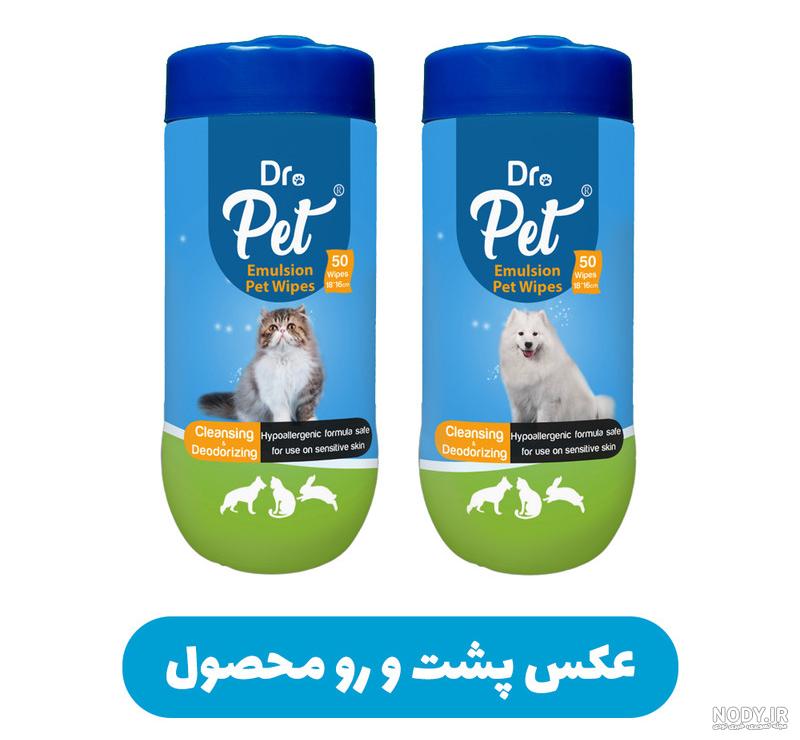 عکس گربه و خرگوش - عکس نودی عکس گربه و خرگوش - عکس نودی