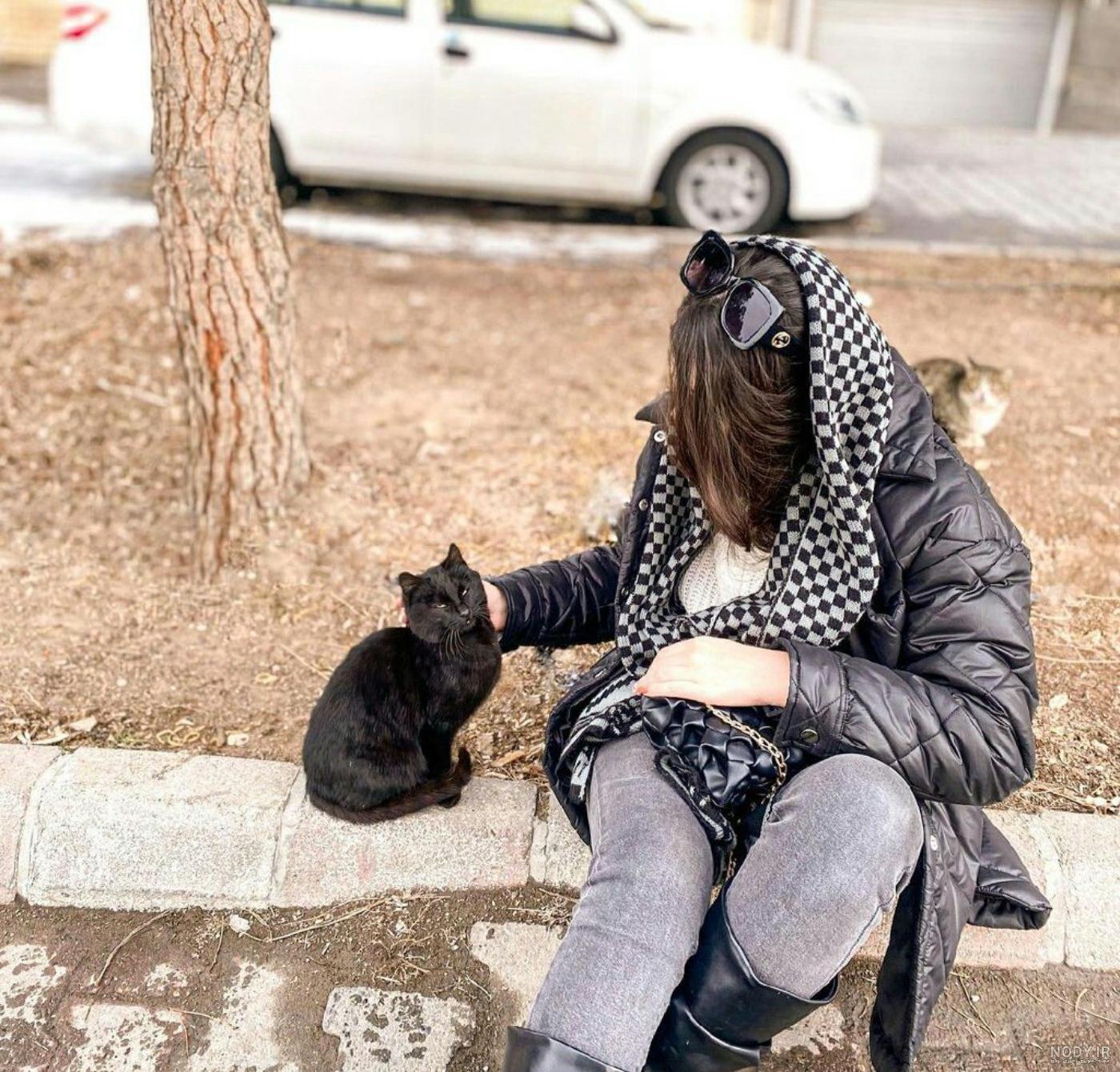 عکس گربه خیابانی بربری - نمایشگاه هنر ایران