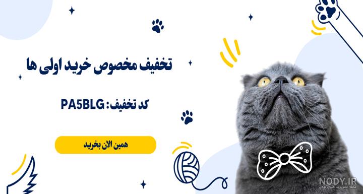 عکس گربه عصبی عکس گربه عصبی