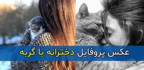 عکس گربه ملوس ناراحت عکس گربه ملوس ناراحت