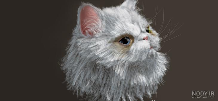 عکس گربه پرشین عکس گربه پرشین
