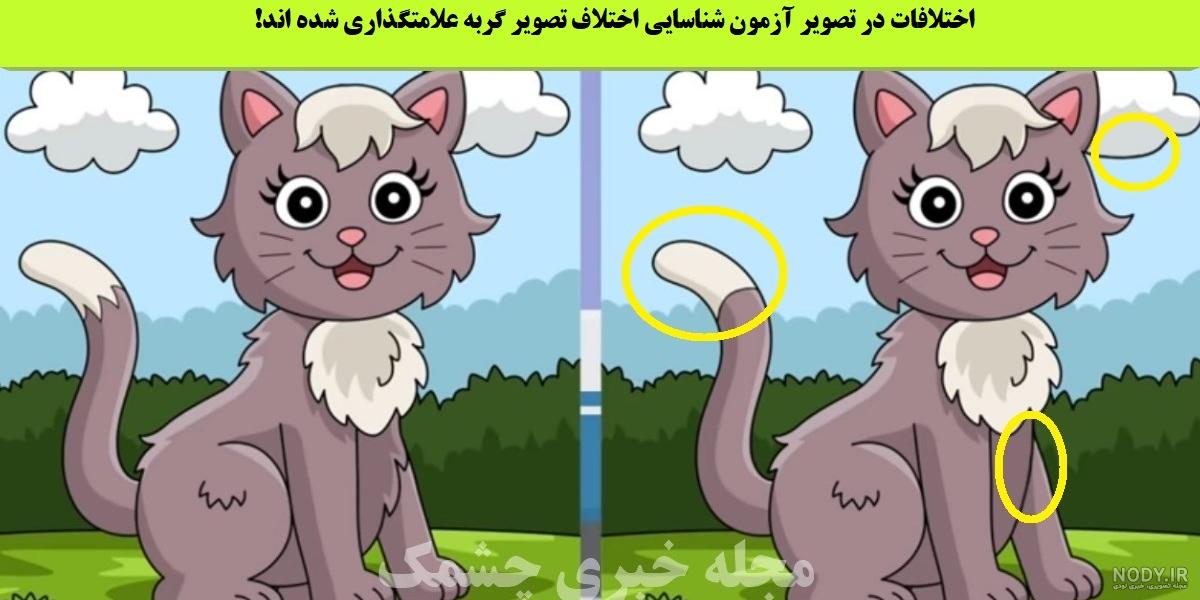 عکس گربه ی عصبی عکس گربه ی عصبی