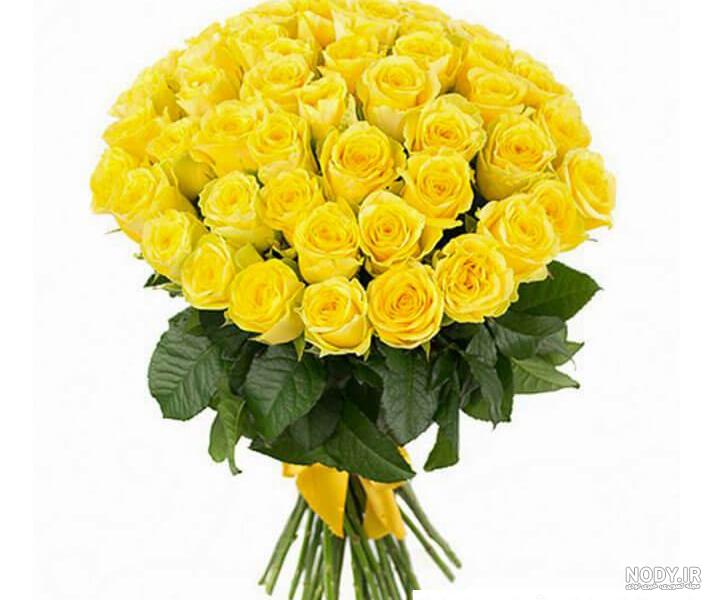 عکس گل رز زرد برای پروفایل عکس گل رز زرد برای پروفایل