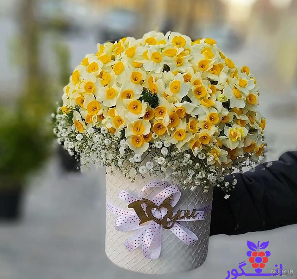 عکس گل نرگس برای پروفایل 2023 | عکس گل مریم | عکس گل برای پروفایل | عکس گل برای پروفایل واتساپ عکس گل نرگس برای پروفایل 2023 | عکس گل مریم | عکس گل برای پروفایل | عکس گل برای پروفایل واتساپ