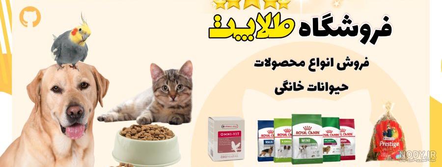 عکسهای خنده دار از رفتار گربه های بامزه - مجله تصویر زندگی عکسهای خنده دار از رفتار گربه های بامزه - مجله تصویر زندگی