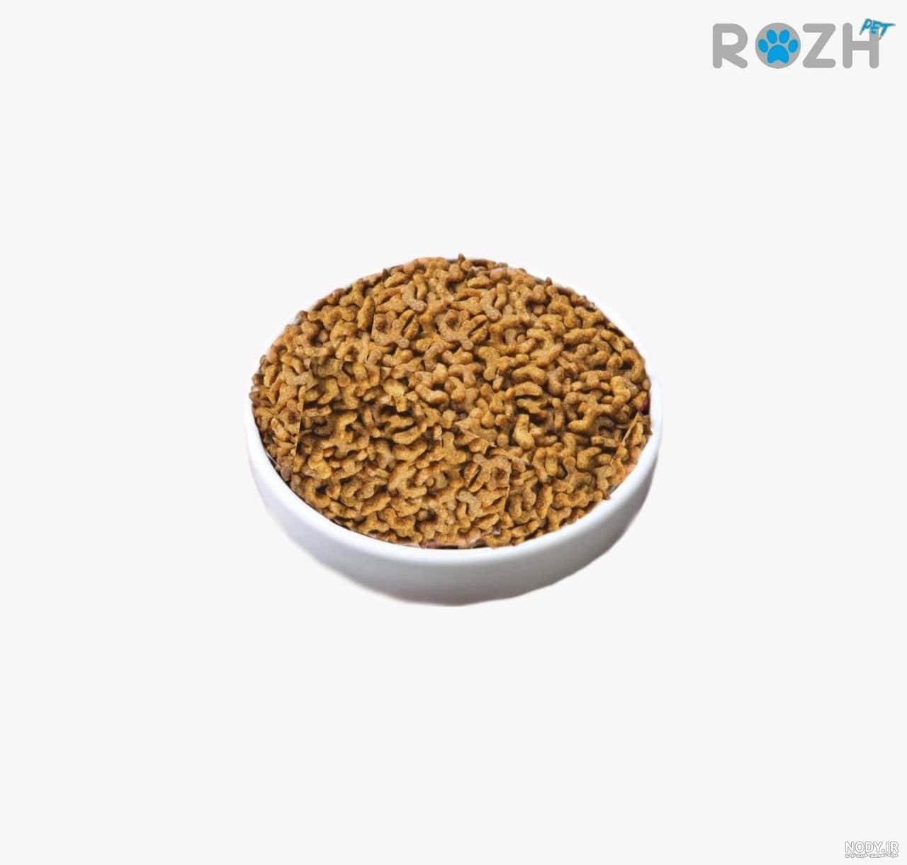 غذای گربه کیتن kitten ( خرید غذای بچه گربه با ارسال فوری ) غذای گربه کیتن kitten ( خرید غذای بچه گربه با ارسال فوری )