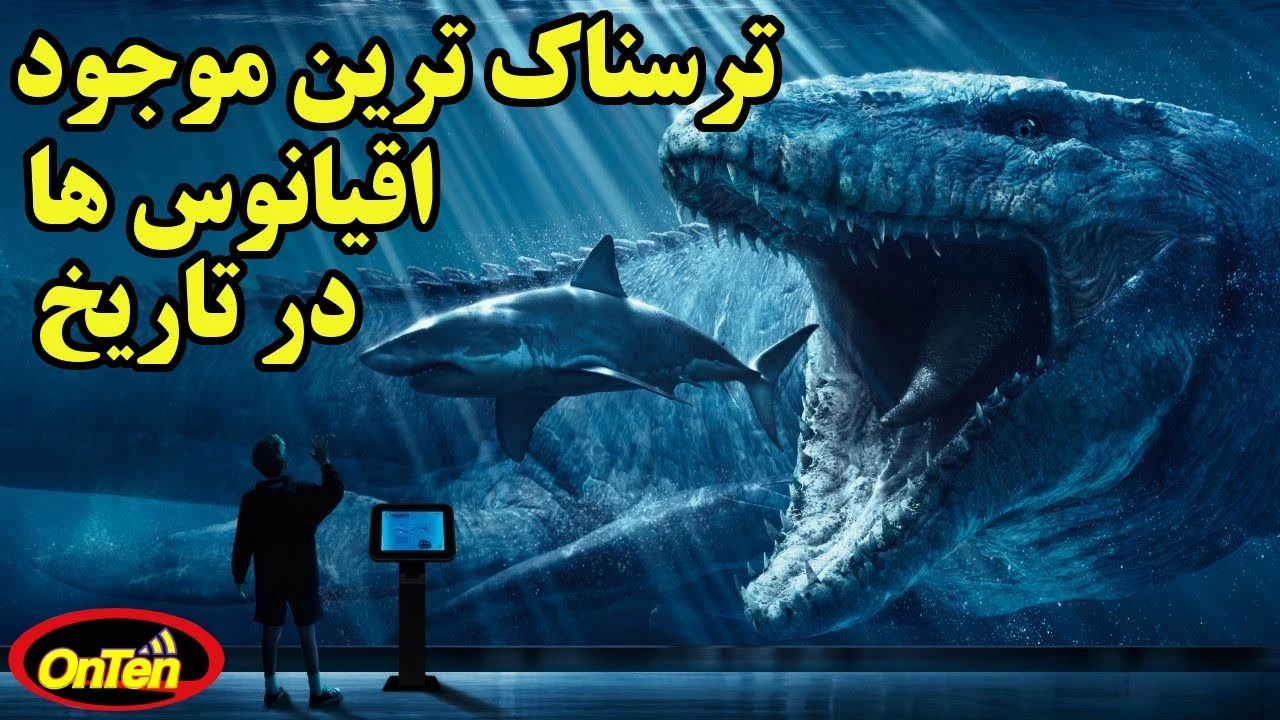 غواصی کنار یک کوسه گاوی + تصاویر غواصی کنار یک کوسه گاوی + تصاویر