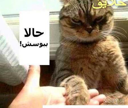 قیمه ریخته توی ماستا | عکس های خنده دار از شیطنت تلگرام تا مدل ساعت صبح قیمه ریخته توی ماستا | عکس های خنده دار از شیطنت تلگرام تا مدل ساعت صبح