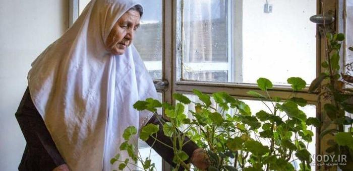 مادربزرگ مهربان، که امروز به مدد آموختن سواد، برای نوه هایش کتاب میخواند مادربزرگ مهربان، که امروز به مدد آموختن سواد، برای نوه هایش کتاب میخواند