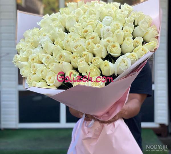 مجموعه عکس گل رز سفید ⚪ مناسب برای پروفایل | تابان مجموعه عکس گل رز سفید ⚪ مناسب برای پروفایل | تابان