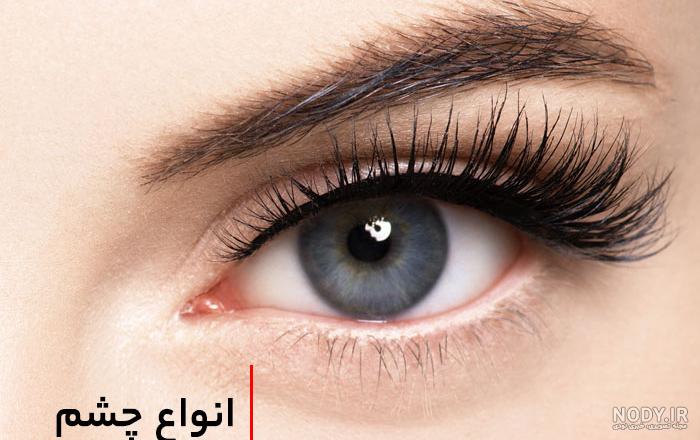 مدل خط چشم گربه ای؛ این مدل های خوشگل رو فقط اینجا می تونی پیدا کنی
