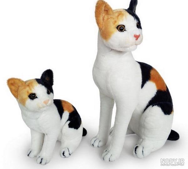 معروف ترین نژادهای گربه خاکستری با چشم رنگی در ایران + عکس و قیمت حدودی - Happypet معروف ترین نژادهای گربه خاکستری با چشم رنگی در ایران + عکس و قیمت حدودی - Happypet