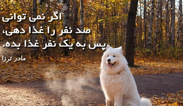 منتقدان قدیس شدن مادر ترزا چه می‌گویند؟ - BBC News فارسی
