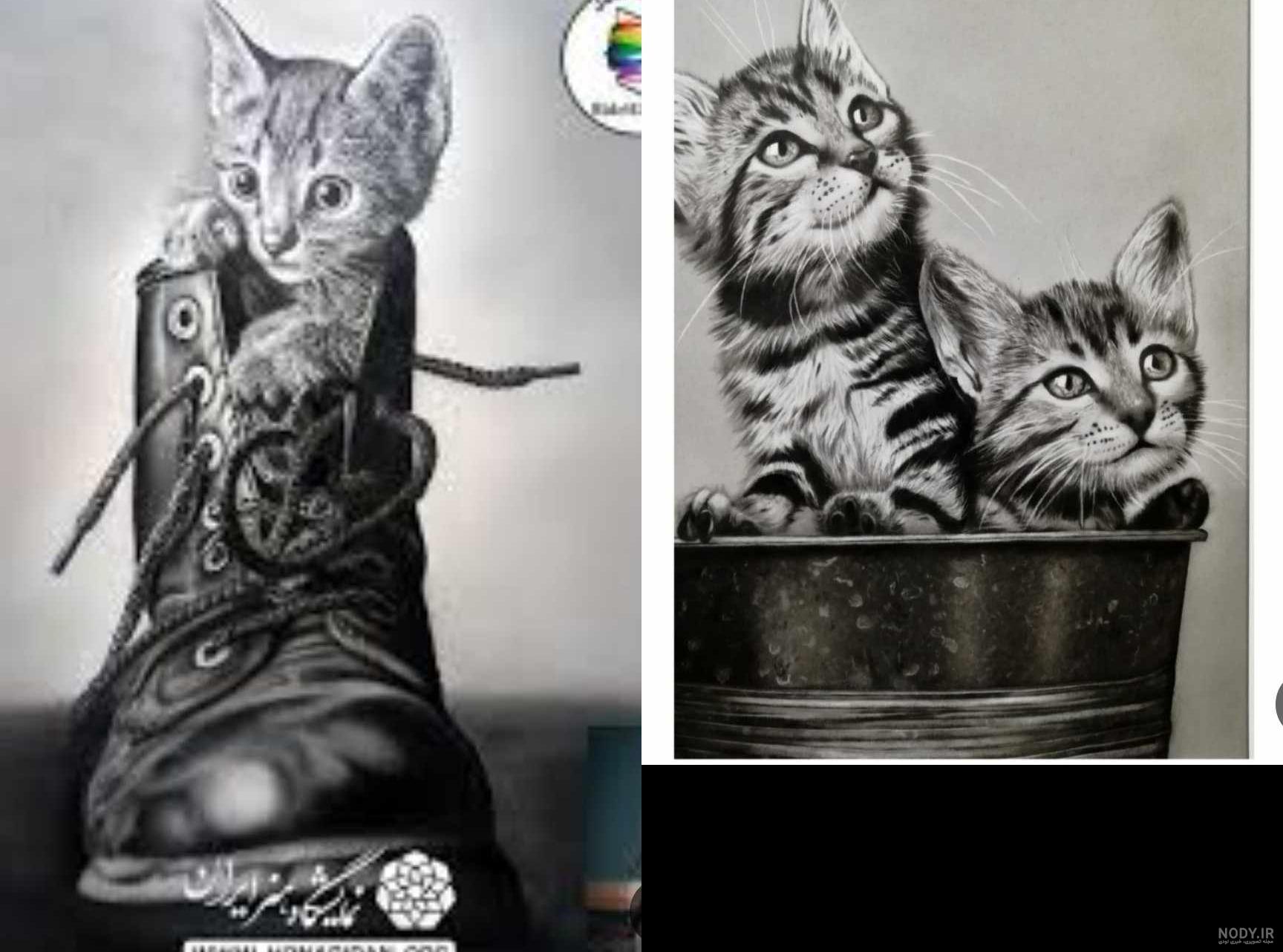 نقاشی گربه‌ها با مداد رنگی - مداد رنگی