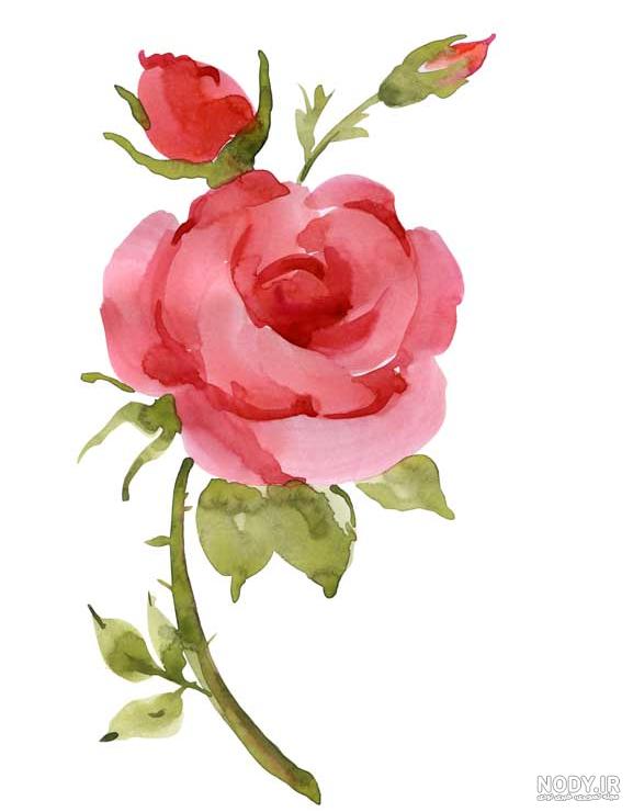 نقاشی گل با آبرنگ ✔️ | نقاشی گل با آبرنگ برای کودکان | نقاشی آبرنگ ساده