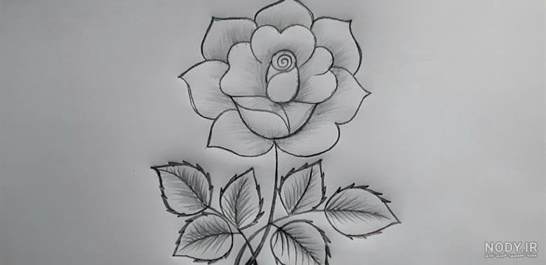 نقاشی گل کودکانه [رز] ساده، زیبا و رنگ شده، کارتونی و فانتزی
