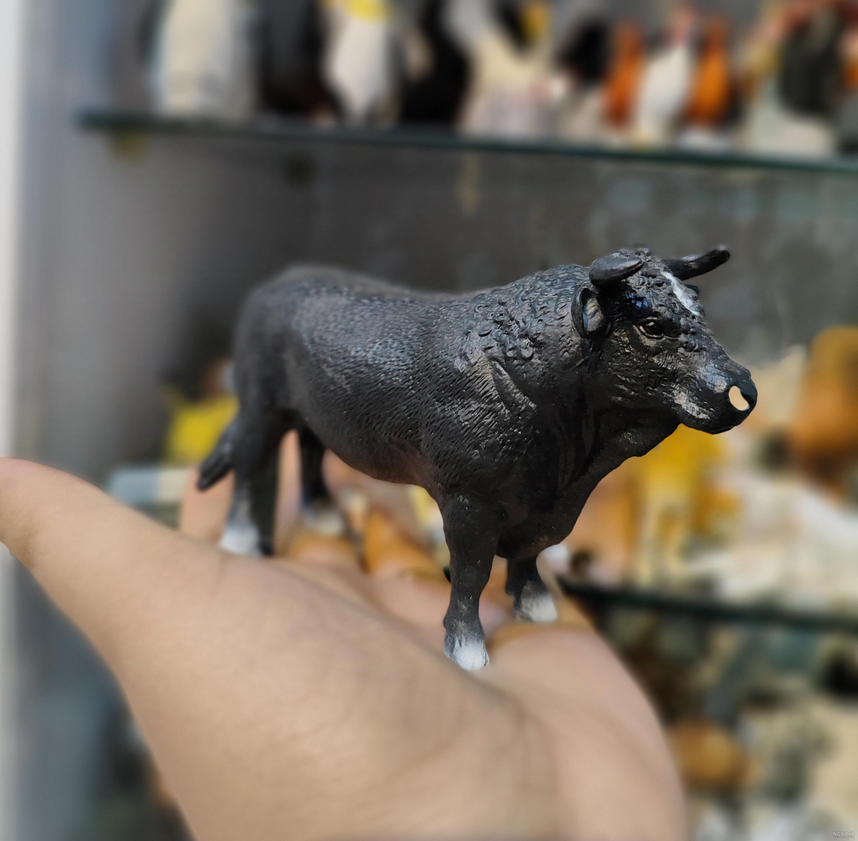 نماد گاو در اندیشه و هنر 6 تمدن‌ باستانی | هنداکو