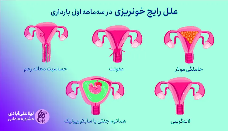 همه چیز در مورد هفته اول بارداری | علائم مادر، وضعیت جنین و نحوه خودمراقبتی