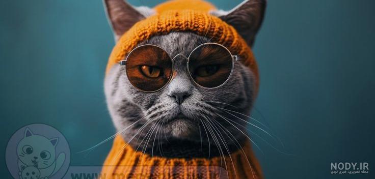 پروف گربه💖💙😻🦋 - عکس ویسگون پروف گربه💖💙😻🦋 - عکس ویسگون