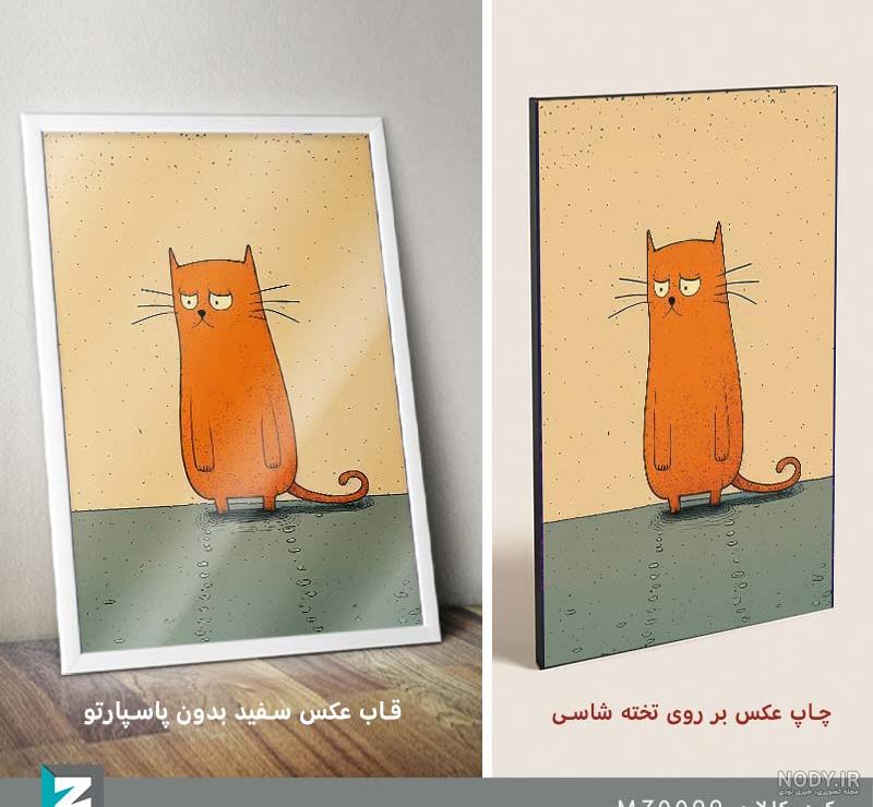 پروفایل دخترانه گربه غمگین خاص | تاوعکس پروفایل دخترانه گربه غمگین خاص | تاوعکس