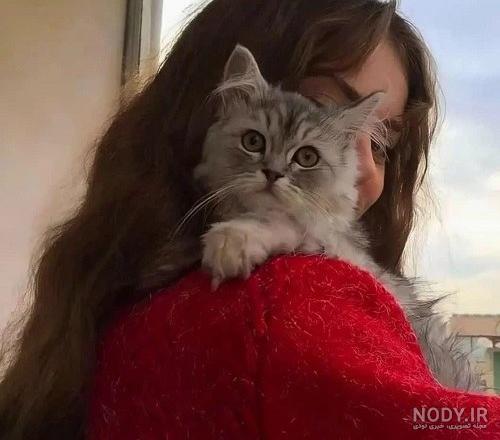 ژست عکس با گربه های ملوس و بانمک ژست عکس با گربه های ملوس و بانمک