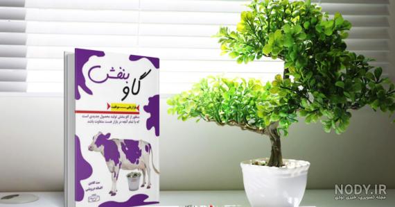 گاو بنفش چیست ( به زبان ساده ) + خلاصه کتاب گاو بنفش - راستین گاو بنفش چیست ( به زبان ساده ) + خلاصه کتاب گاو بنفش - راستین