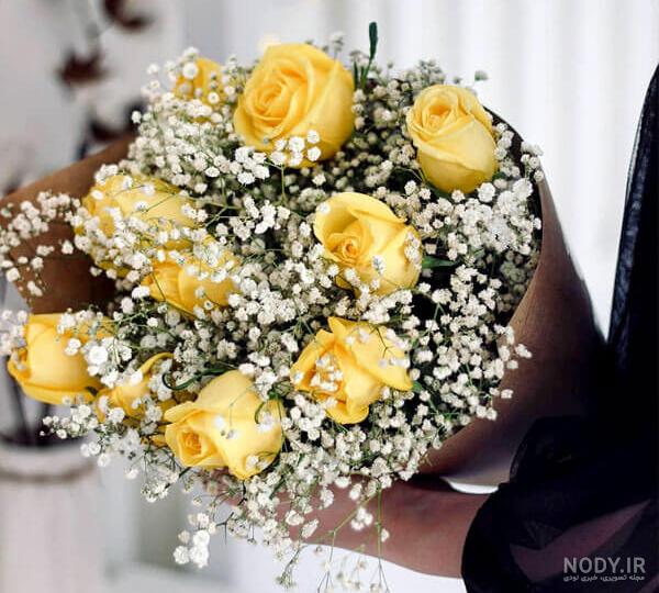 گالری عکس گل رز زرد برای خاص پسندان - ستاره گالری عکس گل رز زرد برای خاص پسندان - ستاره