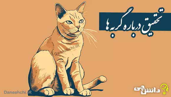 گربه صفت نباشیم - عکس ویسگون گربه صفت نباشیم - عکس ویسگون