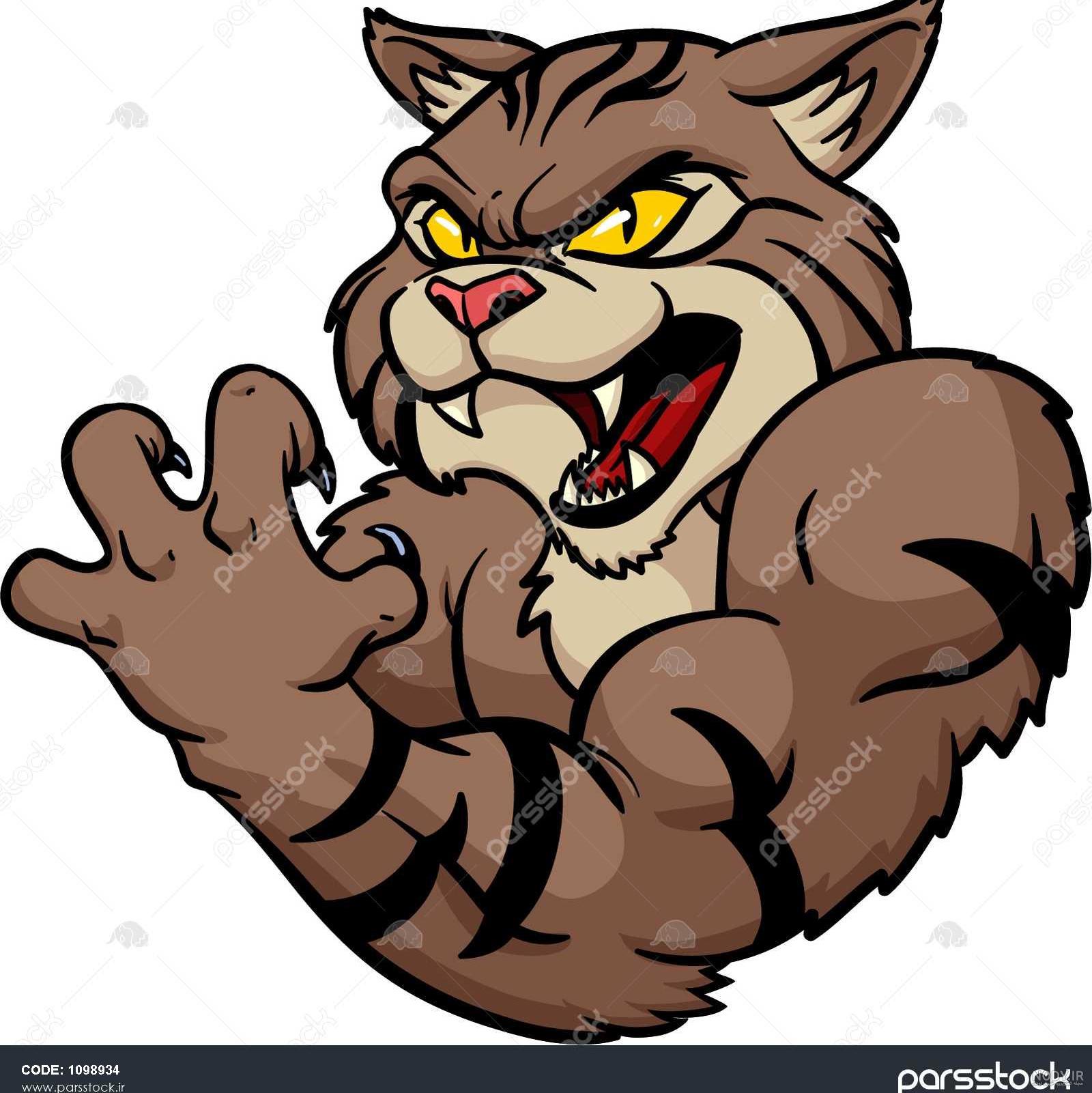 گربه وحشی گربه وحشی
