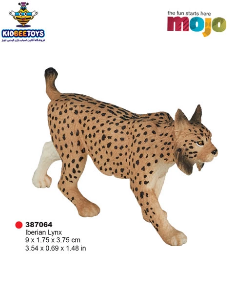 گربه گوش سیاه در سایت خرید و فروش گربه سایمون کت گربه گوش سیاه در سایت خرید و فروش گربه سایمون کت