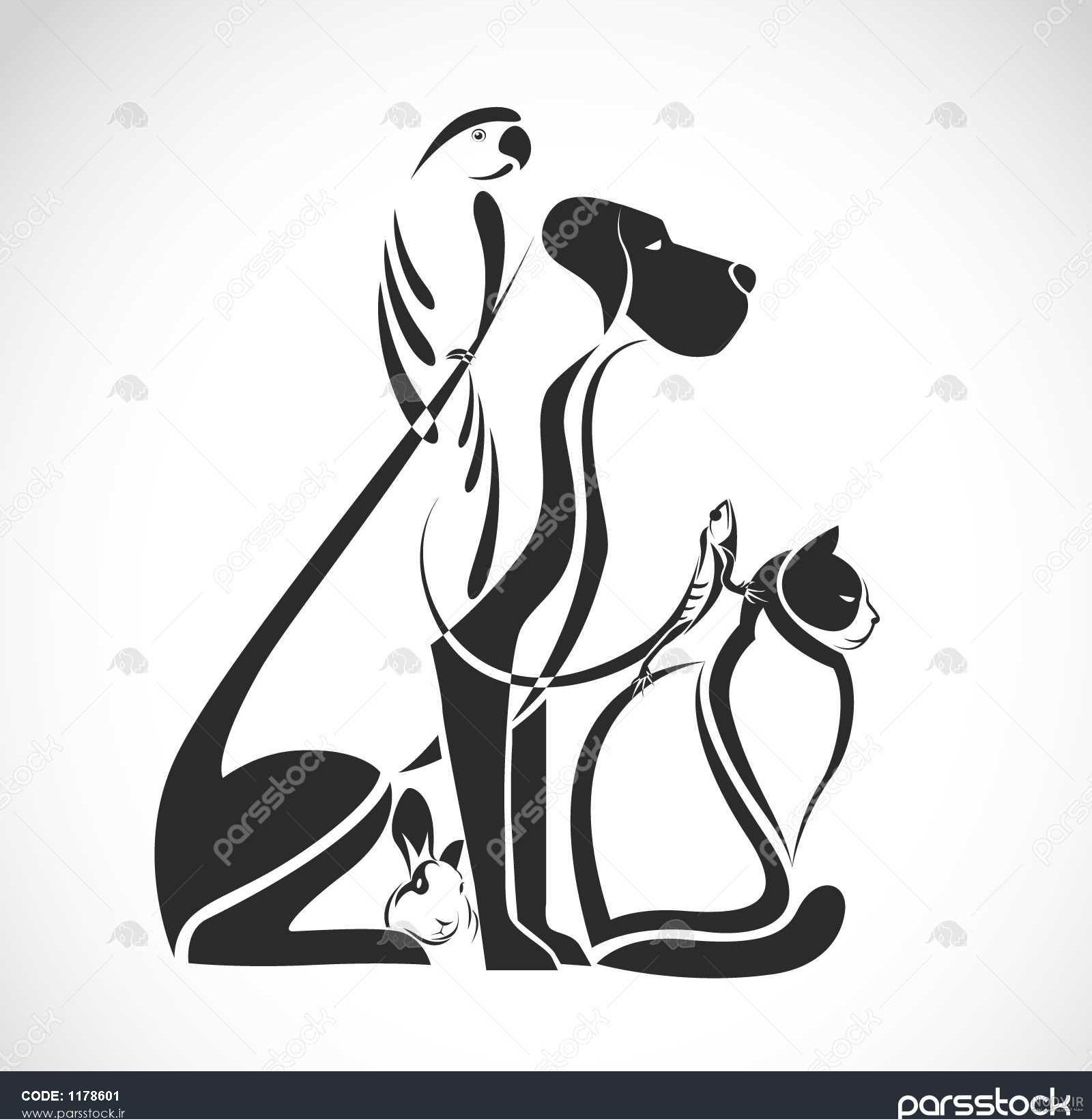 گروهی از حیوانات خانگی - سگ گربه پرنده خزنده خرگوش - در مقابل پس زمینه سفید 1003808 گروهی از حیوانات خانگی - سگ گربه پرنده خزنده خرگوش - در مقابل پس زمینه سفید 1003808
