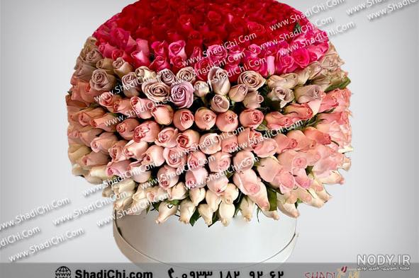 گل رز 🌹 انواع گل رز + عکس به همراه معرفی کامل و روش های نگهداری | گلمون گل رز 🌹 انواع گل رز + عکس به همراه معرفی کامل و روش های نگهداری | گلمون