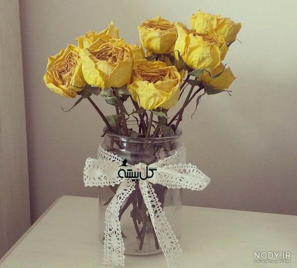 گل رز پژمرده پژمرده و کهنه خشک شده توسط OffiDocs برای گل رز پژمرده پژمرده و کهنه خشک شده توسط OffiDocs برای