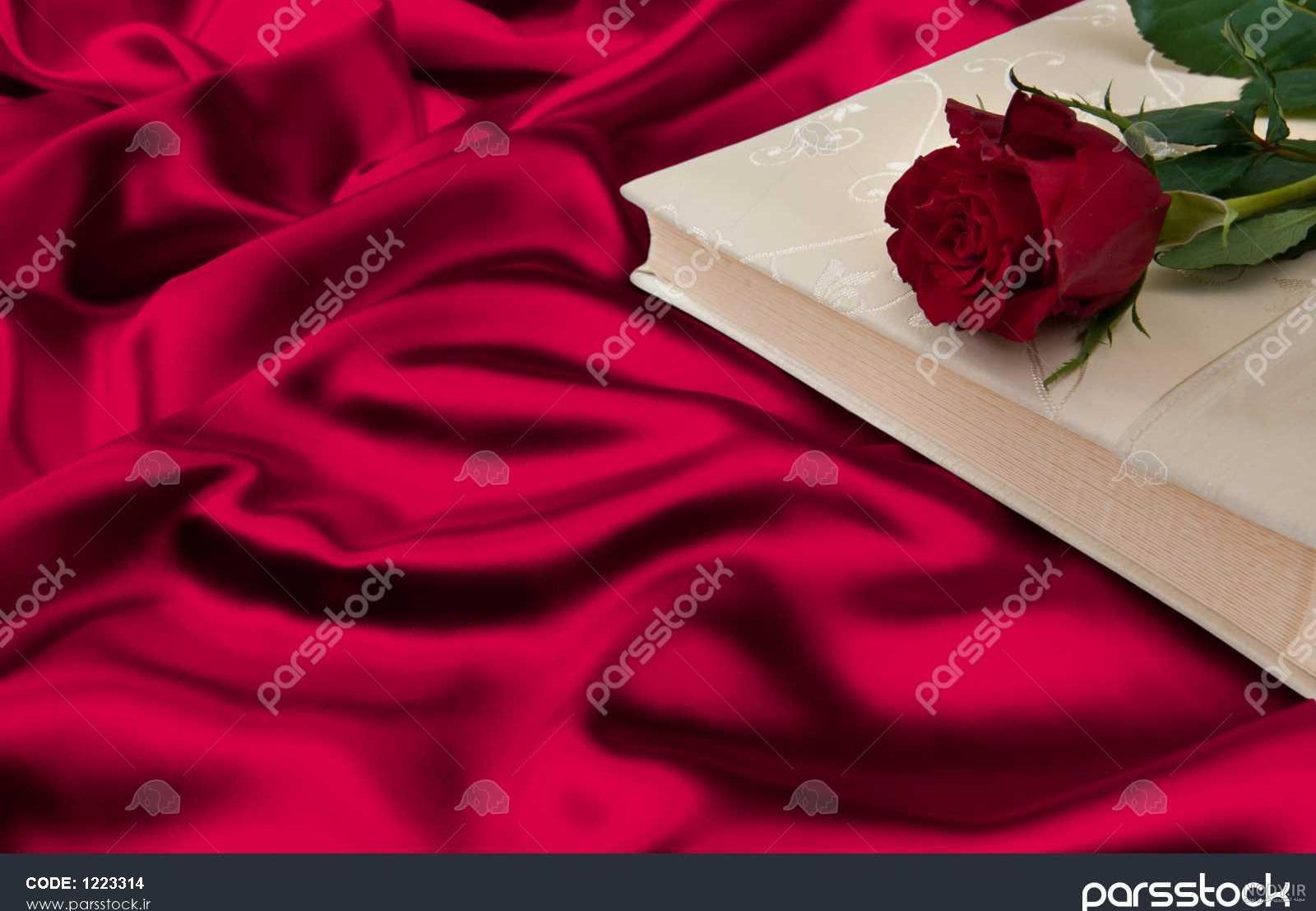 گل سرخ لابه لای کتاب - عکس ویسگون