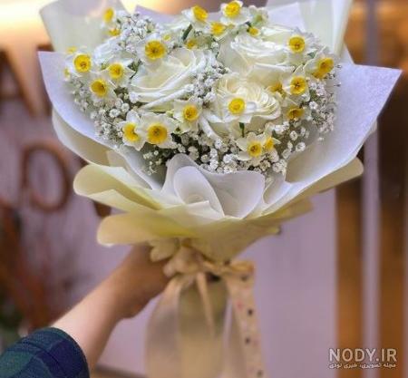 گل نرگس بهبهان گل نرگس بهبهان