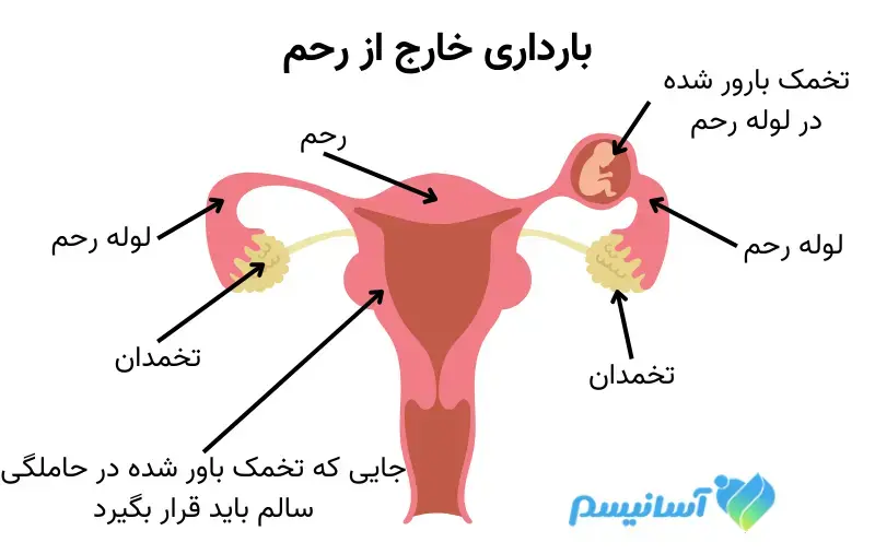 ۱۱ مورد تغییر چهره در بارداری؛ تغییرات موقتی اما مهم! ۱۱ مورد تغییر چهره در بارداری؛ تغییرات موقتی اما مهم!
