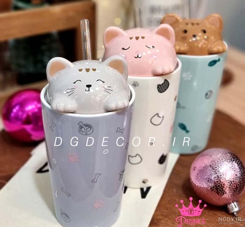 ۴۰ عکس گربه کیوت و ملوس ۱۴۰۳ برای پروفایل و عکس گربه باکیفیت برای بکگراند و