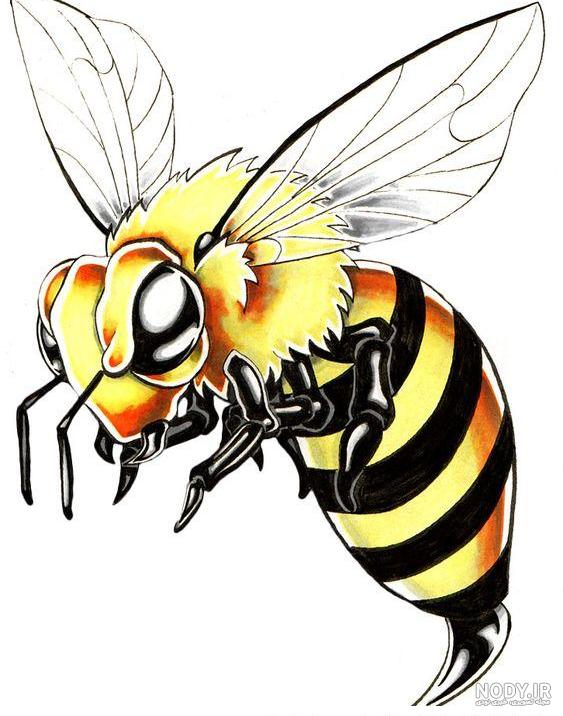 خرید و قیمت وکتور کارتونی زنبور و سطل عسل-کد 12074 | ترب