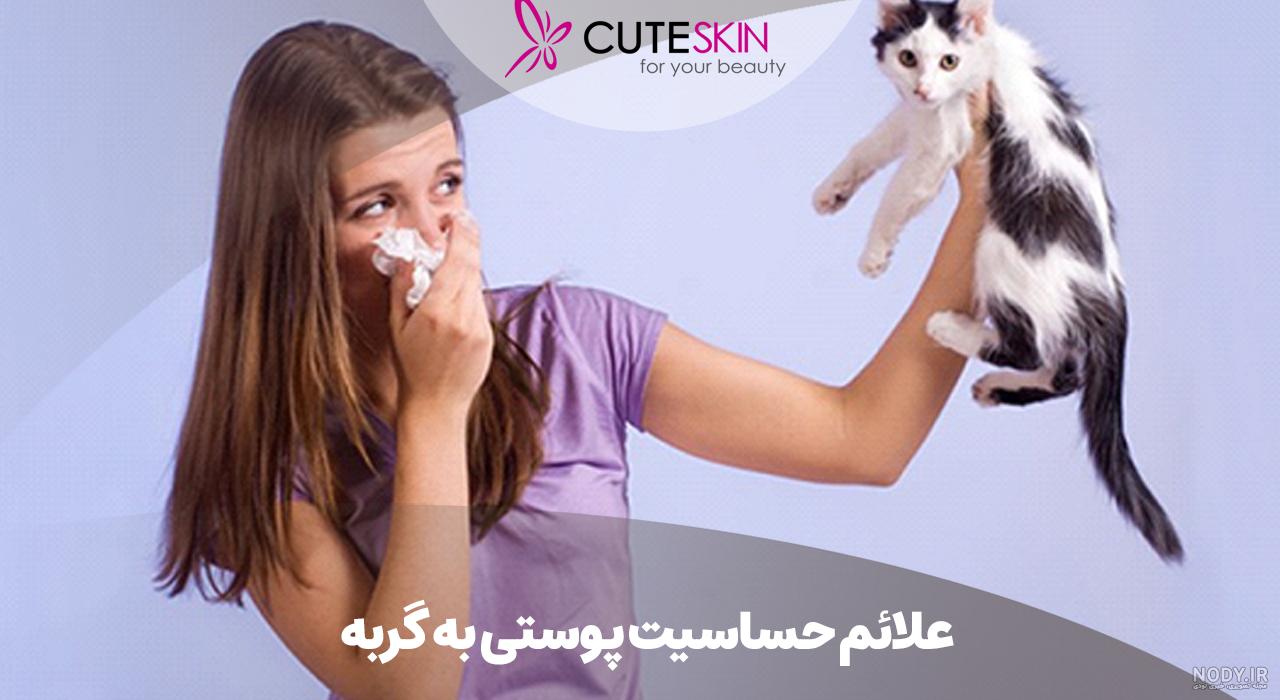 روش مراقبت از گربه زخمی | پت‌مال