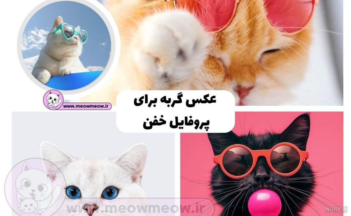 عکس دختر گربه سیاه واقعی