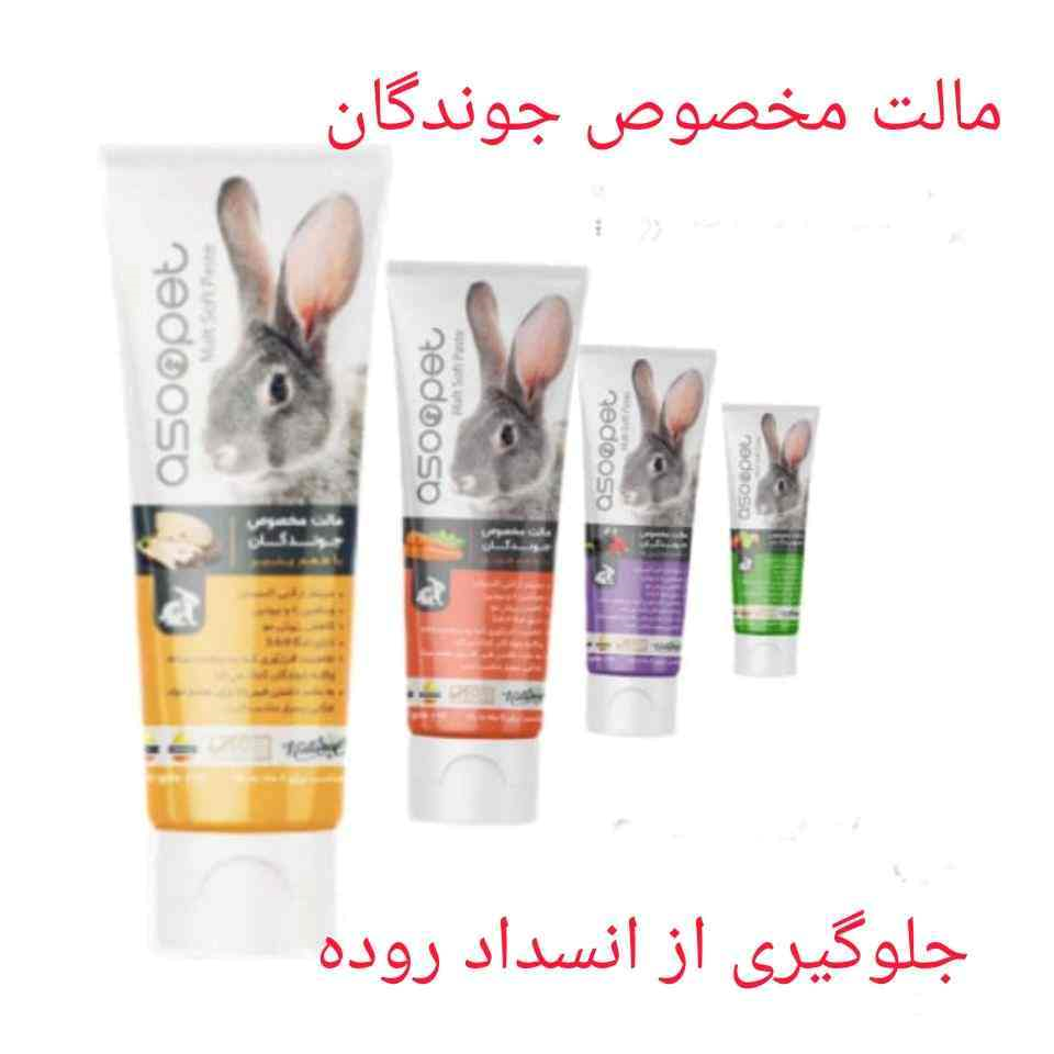عکس سگ و گربه برای پروفایل - عکس نودی