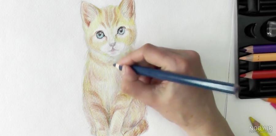عکس نقاشی گربه با مداد رنگی عکس نقاشی گربه با مداد رنگی