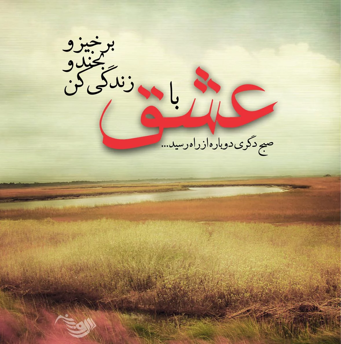 عکس نوشته چه کنم