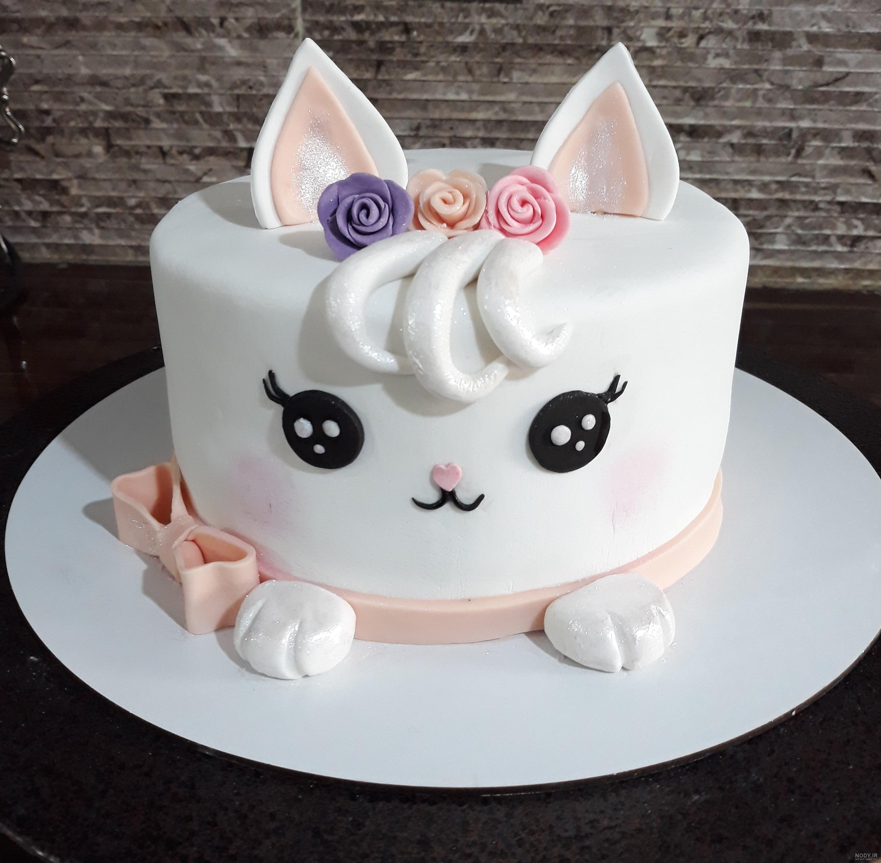عکس کیک گربه ای دخترانه