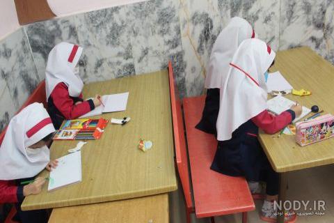 عکس گربه و سگ و خرگوش
