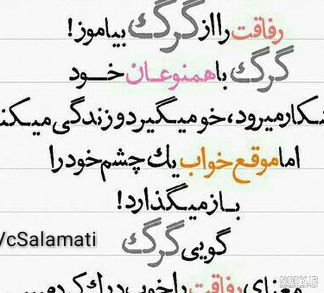 عکس گرگ با متن برای پروفایل